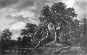 Waldlandschaft mit sumpfigem Gewasser