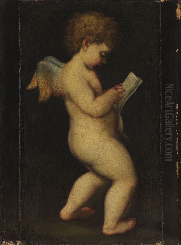 Lesender Amor Oil Painting by Antonio da Correggio