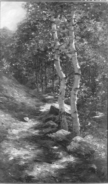 Birken in der Sonne (Waldweg) Oil Painting by Alexander Koester