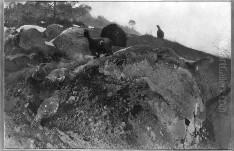 Auerhahnbalz Oil Painting by Bruno Andreas Liljefors