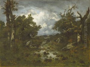 Lichtung im Wald von Fontainebleau