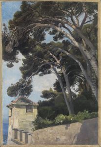 Pinien bei Nervi