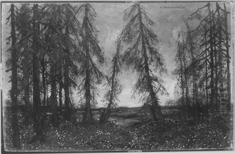 Waldlandschaft Oil Painting by Carl Strathmann