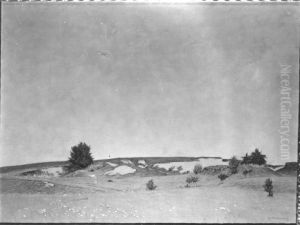 Pollinger Landschaft