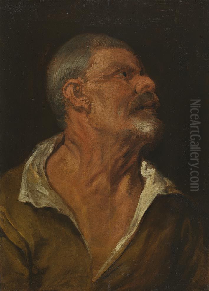 Studienkopf Oil Painting by Sir Anthony Van Dyck