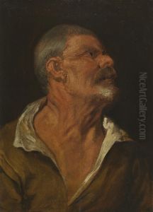 Studienkopf