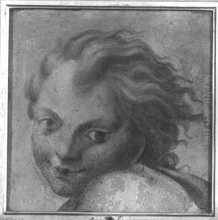 Engelskopf Oil Painting by Antonio da Correggio
