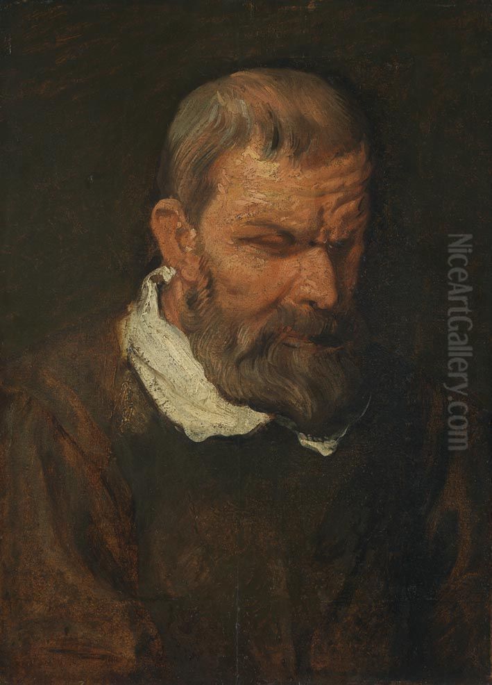 Studienkopf Oil Painting by Sir Anthony Van Dyck