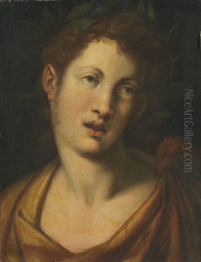 Mannliches Bildnis Oil Painting by Cristofano Allori