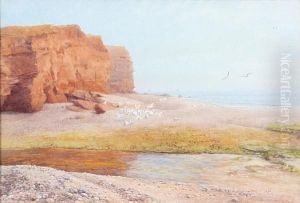 Sunlit Coastal Scene