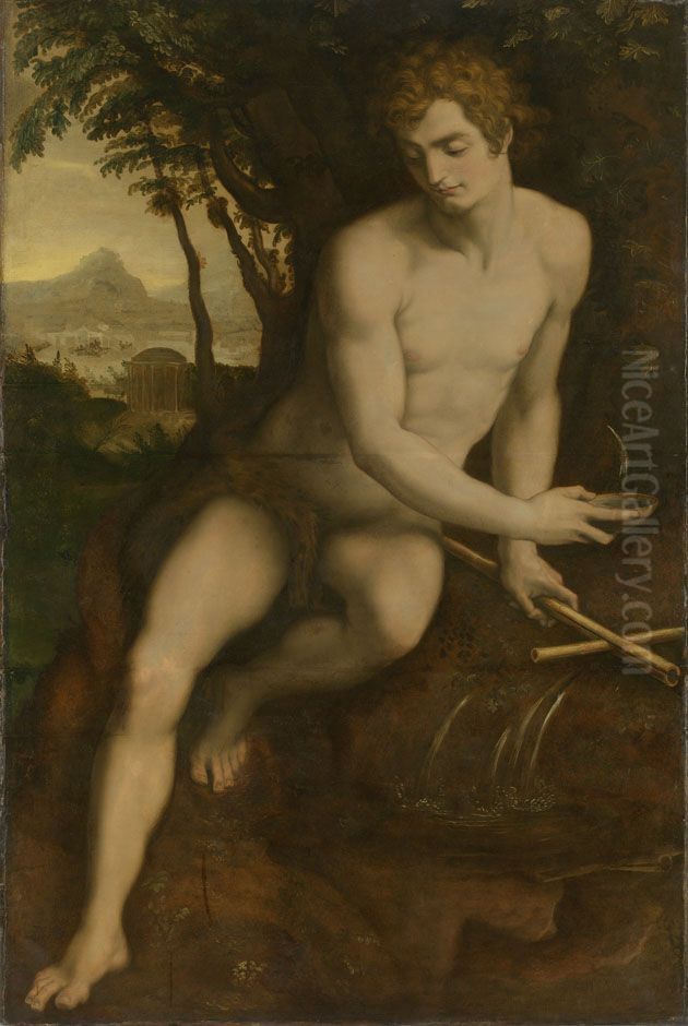 Johannes der Taufer Oil Painting by Daniele da Volterra