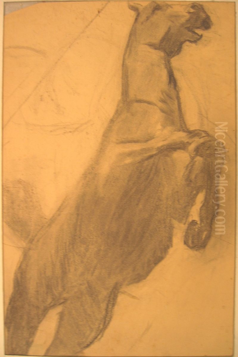 Sketch of a Horse Oil Painting by Henry Luyten