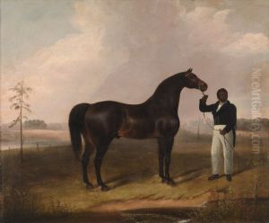 Sir Archy by Diomed out of Castianira