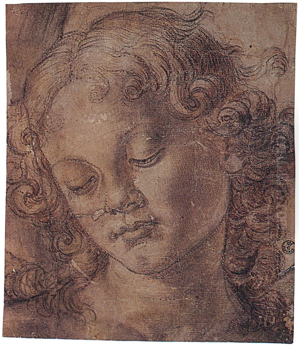 Kopf eines herabblickenden Jungen Oil Painting by Andrea Del Verrocchio