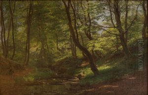 May Day with Trees in Leaf in the Marselisborg Woods