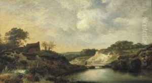Landschap in de duinen