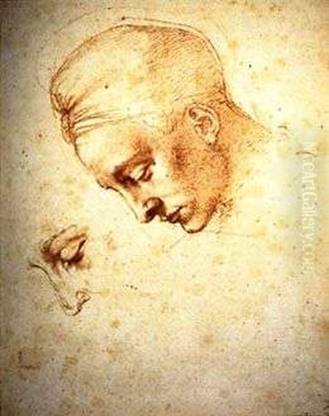 Leda and the Swan Oil Painting by Michelangelo Buonarroti