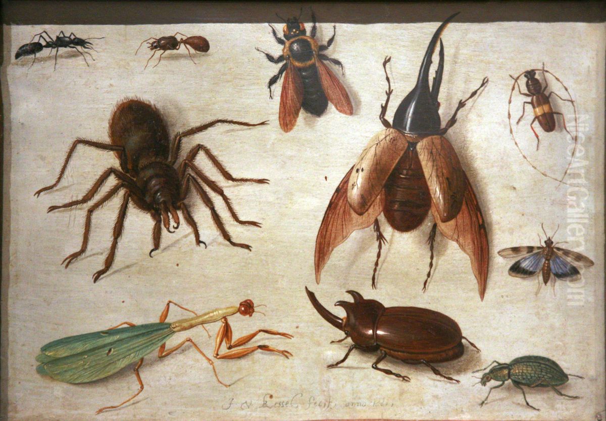 Study of Insects Oil Painting by Jan van Kessel the Elder