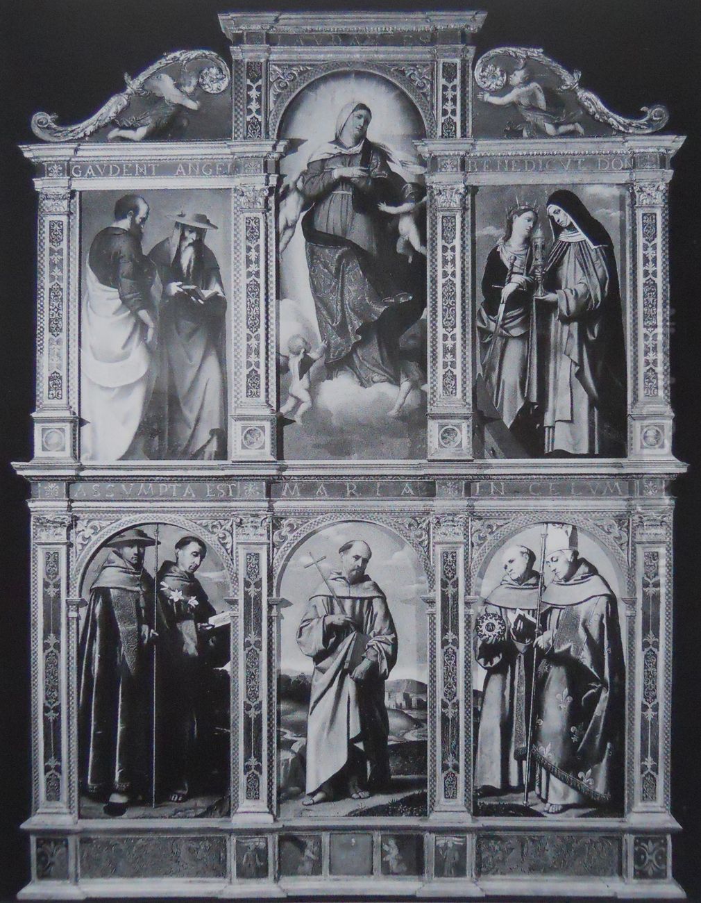 Polyptych of Assumption Oil Painting by Alessandro Bonvicino (Moretto da Brescia)