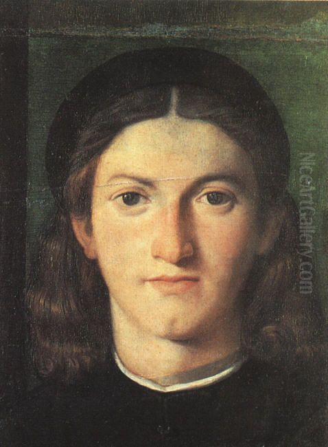 Portrait of a Young Man Oil Painting by Lorenzo Lotto