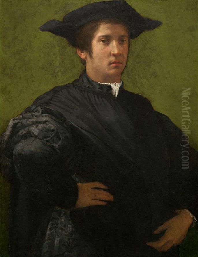 Portrait of a Man Oil Painting by Rosso Fiorentino