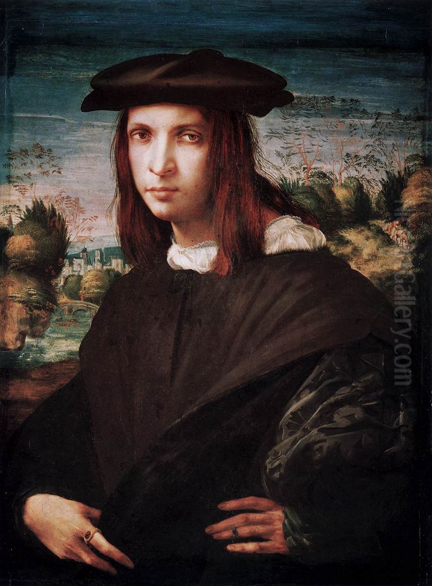 Portrait of a Young Man Oil Painting by Rosso Fiorentino