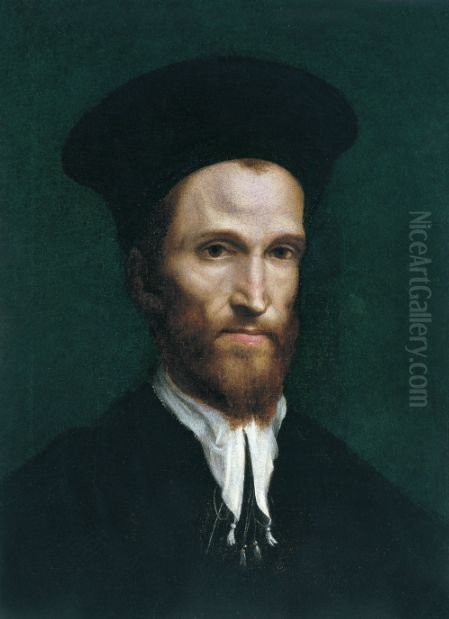 Portrait of a student Oil Painting by Antonio da Correggio
