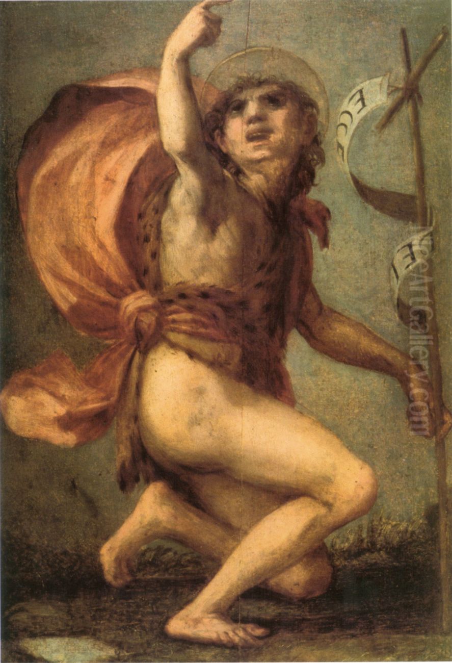 Saint John the Baptist Oil Painting by Rosso Fiorentino