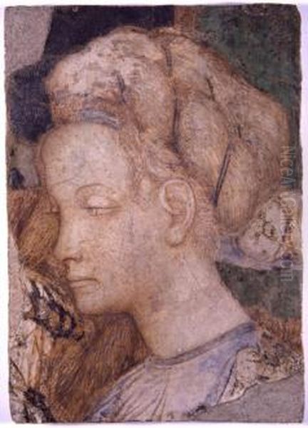 Testa di donna Oil Painting by Pisanello
