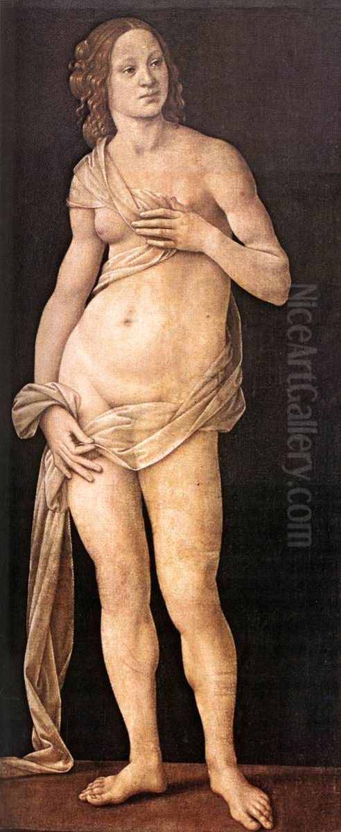 Venus Oil Painting by Lorenzo Di Credi