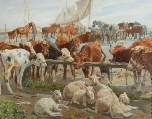 Shipping of cattle from Kastrup harbor to Saltholmen Shipping of cattle from Kastrup harbor to Saltholmen