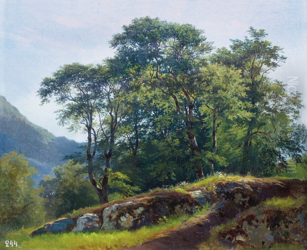 <<Bukovyj les v Svejcarii>> Oil Painting by Ivan Shishkin