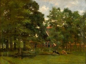 Boerderij tussen beuken