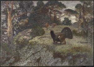 Bolderende auerhaan met drie hennen