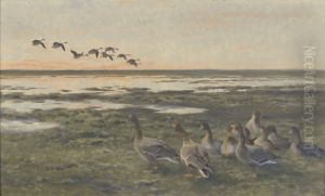 Strijkende rietganzen bij zonsondergang