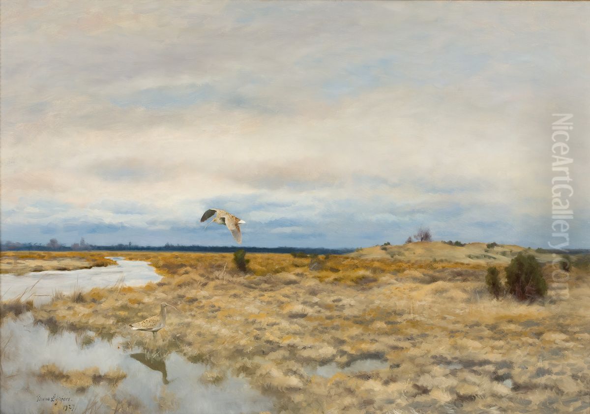 Two curlews in a peat landscape Oil Painting by Bruno Andreas Liljefors