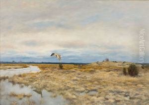 Two curlews in a peat landscape