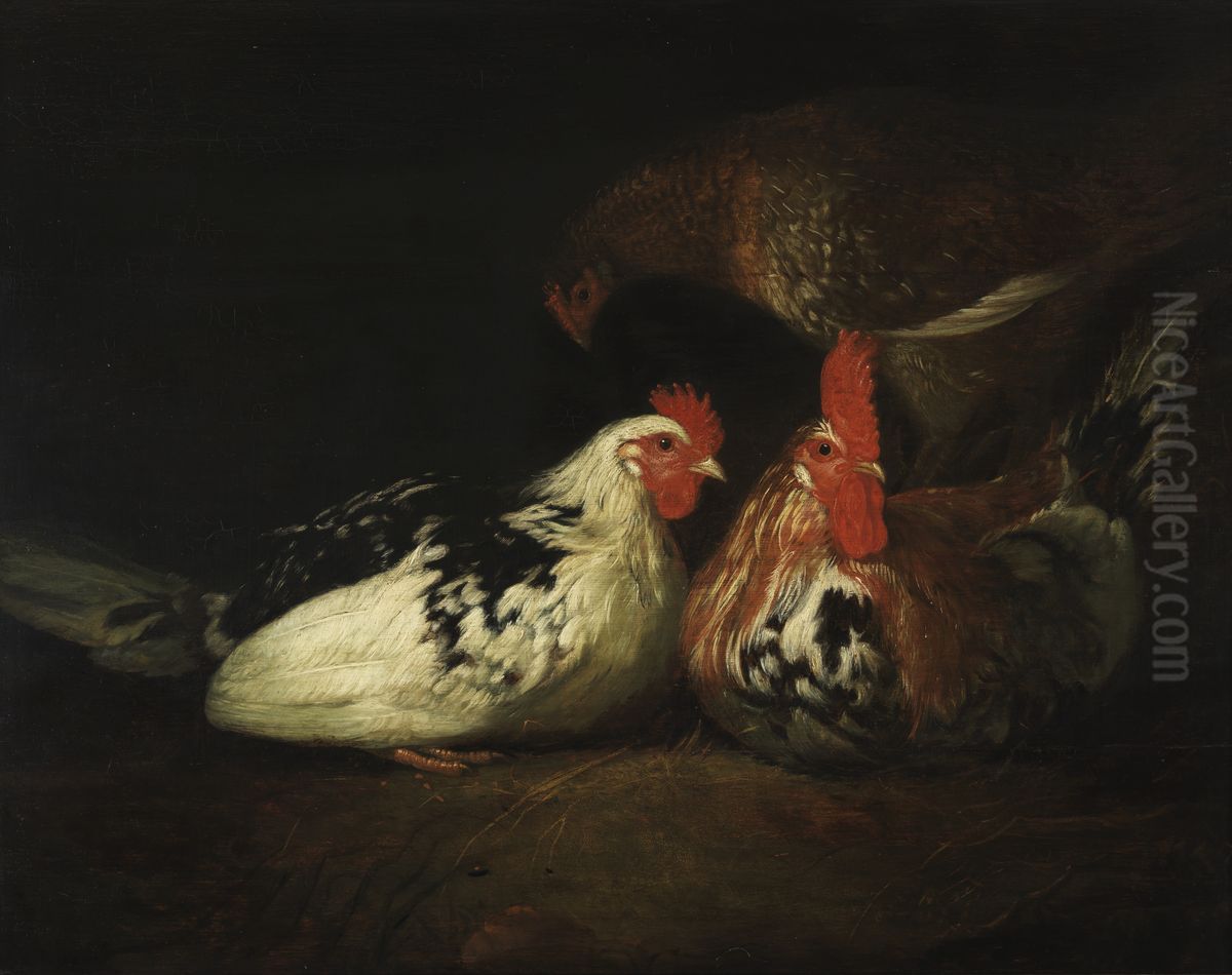 Haan met kippen Oil Painting by Jacob Gerritsz. Cuyp