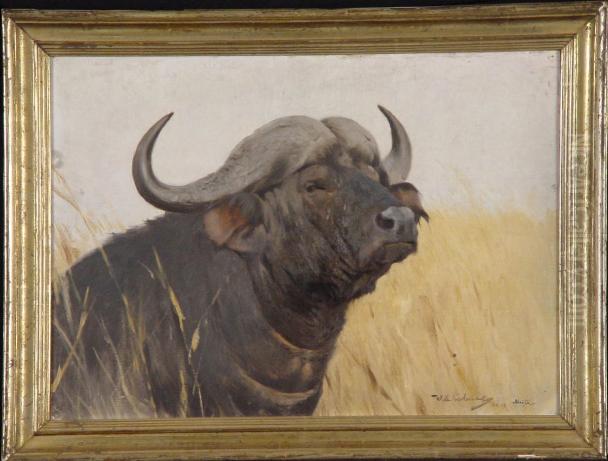 Kop van een Afrikaanse buffel Oil Painting by Wilhelm Kuhnert