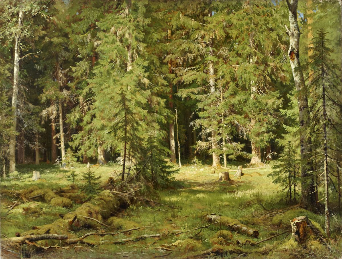 <<Les>> Oil Painting by Ivan Shishkin