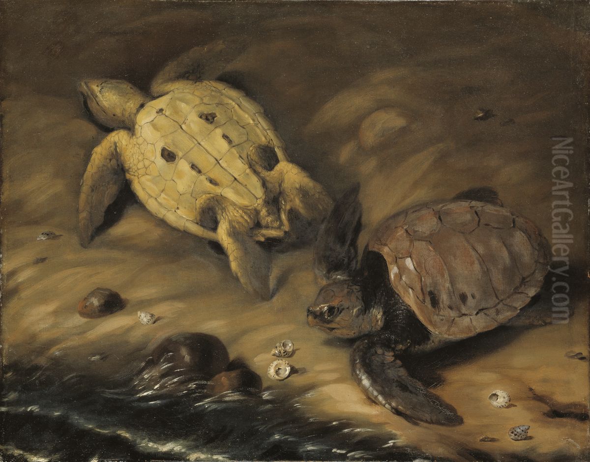 Tva skoldpaddor Oil Painting by David Klocker Ehrenstrahl