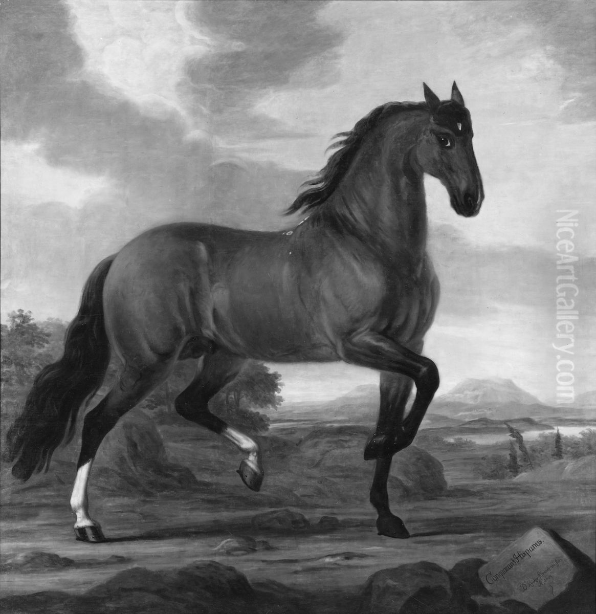 Hispanus Conquerant, en av kung Karl XI:s ridhastar Oil Painting by David Klocker Ehrenstrahl