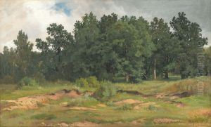 Oak Wood in a Gray Day