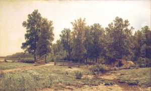 On the outskirts of the oak forest