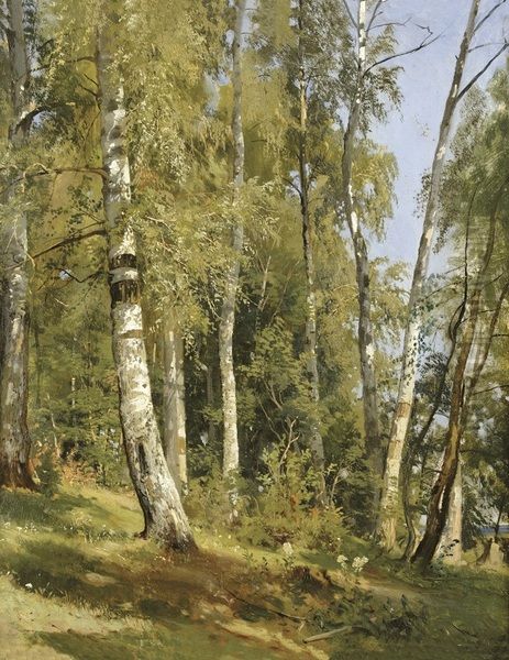 Birch Grove Oil Painting by Ivan Shishkin