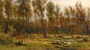 Birches after Storm