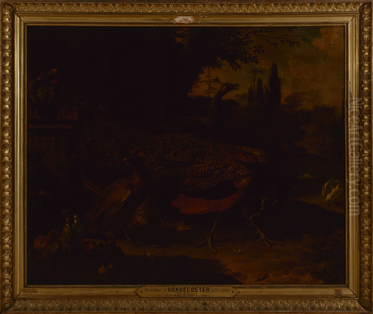 Oiseaux dans un parc Oil Painting by Melchior D'Hondecoeter
