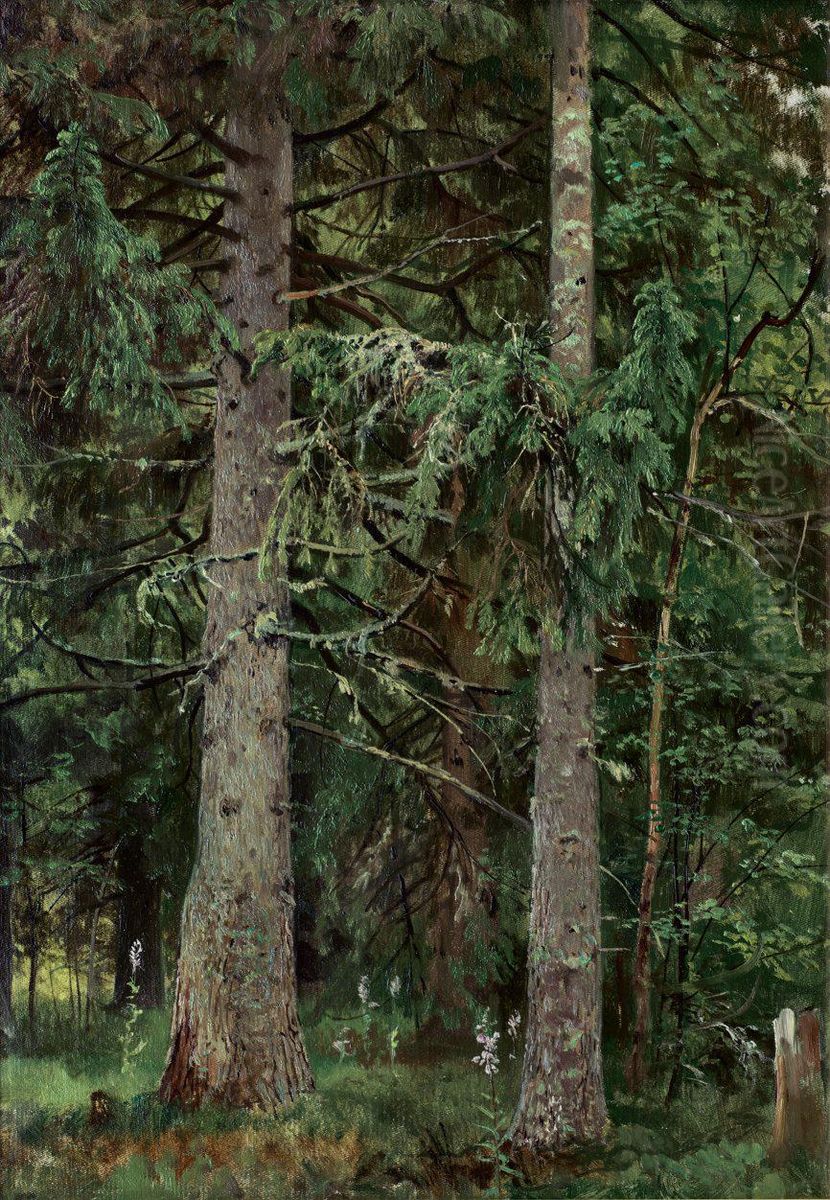 Spruce forest Oil Painting by Ivan Shishkin