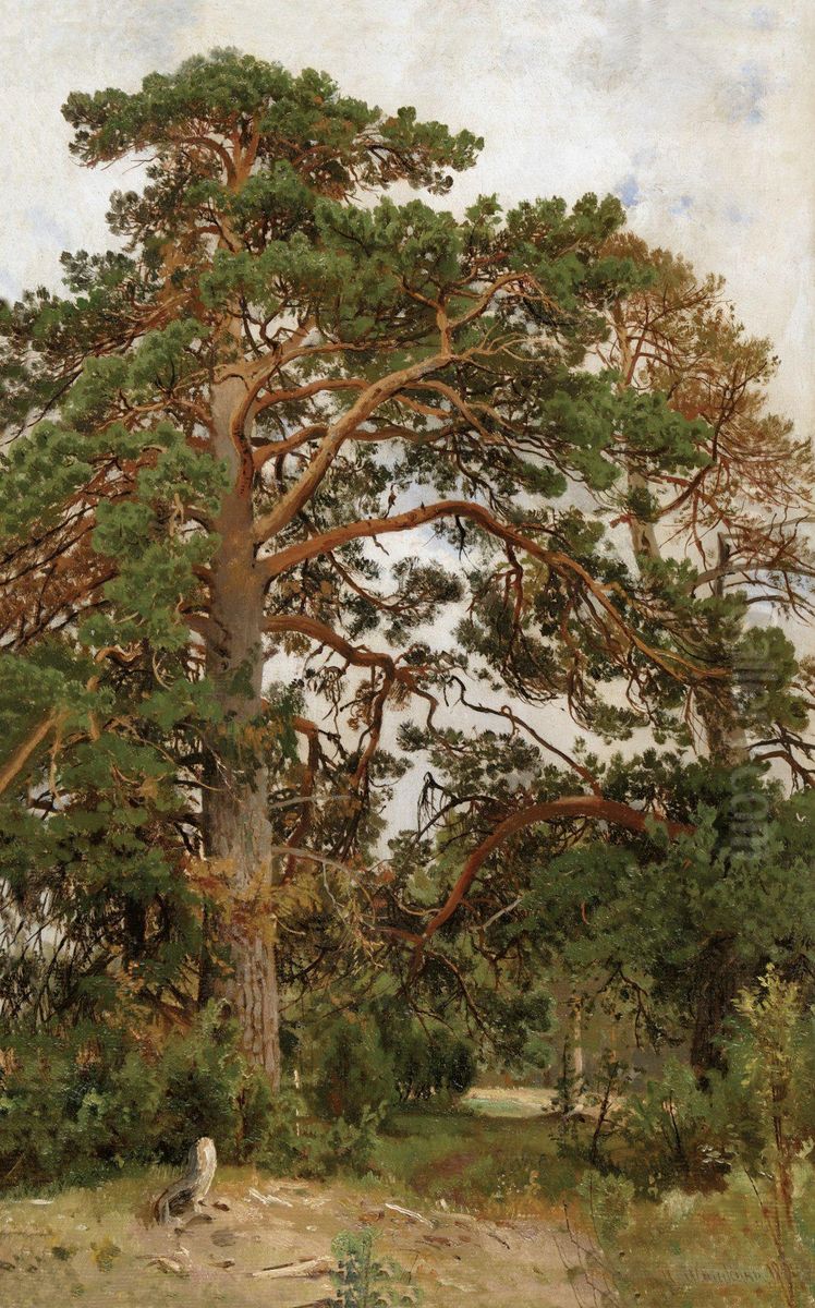 Landscape with pine Oil Painting by Ivan Shishkin