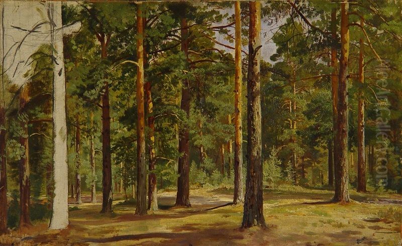 Pine Forest. Unfinished Sketch Oil Painting by Ivan Shishkin